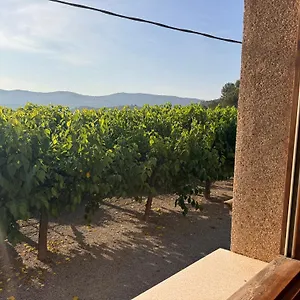 2* Gasthof El Violi